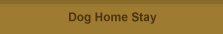 Dog Home Stay